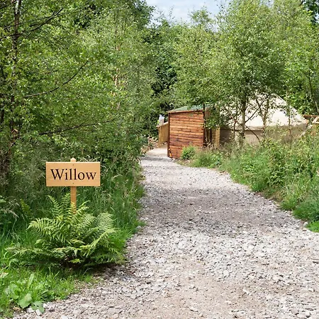 Yurtshire Eavestone - Willow Luxury tent Ripon